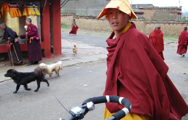 Tibetan monks — Stock Photo, Image