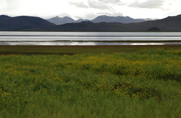 Yamdrok jezero v Tibetu — Stock fotografie