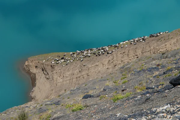 Lake Yamdrok in Tibet — Stock Photo, Image