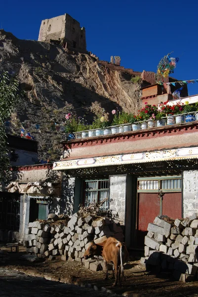 El casco antiguo de Gyantse — Foto de Stock