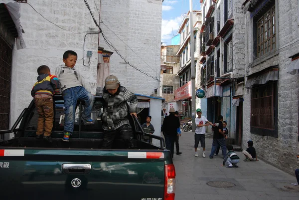 lhasa budur