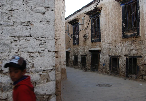 lhasa budur