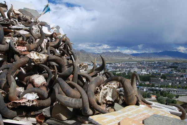 shigatse şehir