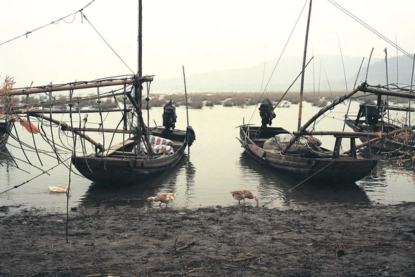 Aqua-çiftlik Doğu Çin'de