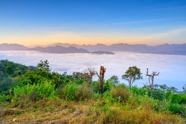 Nebelmeer Bei Gloselo Mon Diew Dai Bezirk Khun Yuam Mae — Stockfoto