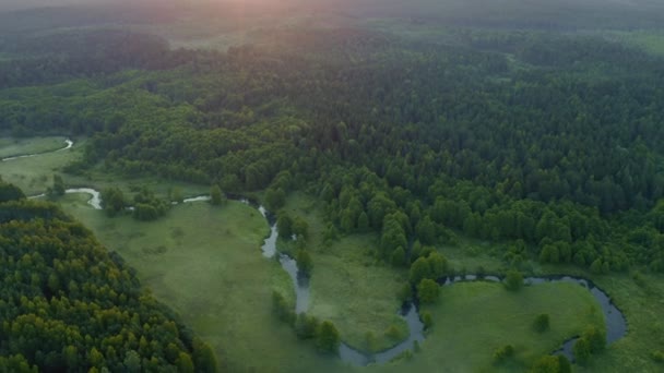 O drone aéreo voa sobre o rio sinuoso flui através do prado verde e da floresta. Nevoeiro sobre a superfície da água, de manhã cedo. Vista aérea do campo no verão. — Vídeo de Stock