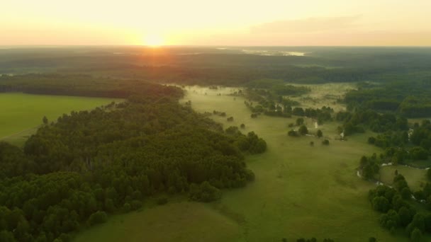 O drone aéreo voa sobre o rio sinuoso flui através do prado verde e da floresta. Nevoeiro sobre a superfície da água, de manhã cedo. Voando alto acima da via navegável antes do nascer do sol. Amanhecer nebuloso, vale verde idílico — Vídeo de Stock