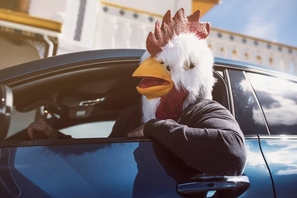 Homme Oiseau Heureux Conduit Une Voiture Sort Tête Images De Stock Libres De Droits