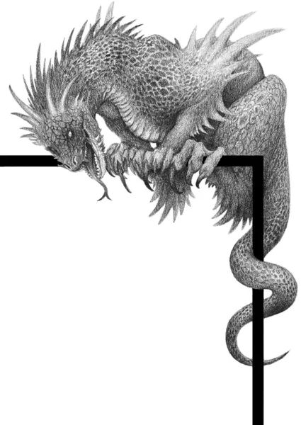 Dragon banner — Stok fotoğraf