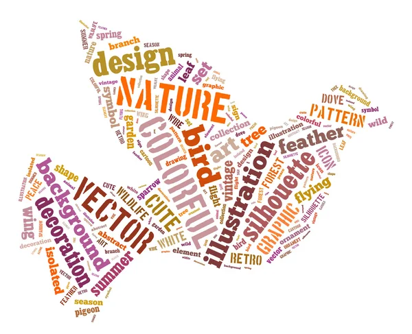 renkli kuş kelime bulutu