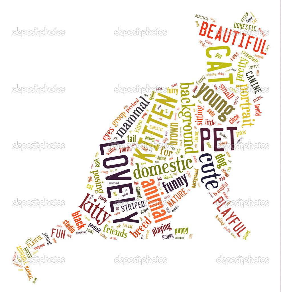 Colourful Cat Word Cloud