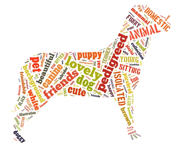 Colourful dog Word Cloud — Stock Photo, Image