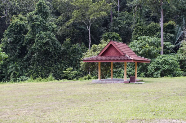 ジャングルの中で小さな小屋 — ストック写真