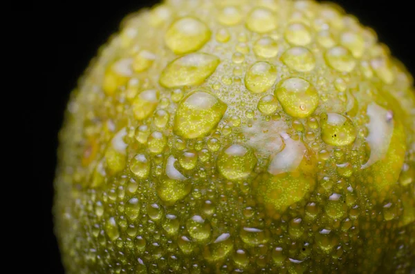 Lime Fruit — Stock Photo, Image
