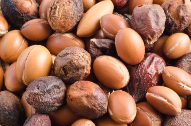 argan fındık arka plan