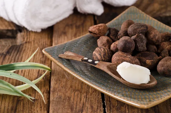 Shea butter and shea nuts — Stock Photo, Image