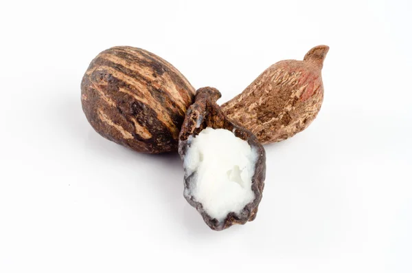 o beyaz üzerinde fındık