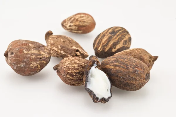 Ella nueces en blanco — Foto de Stock