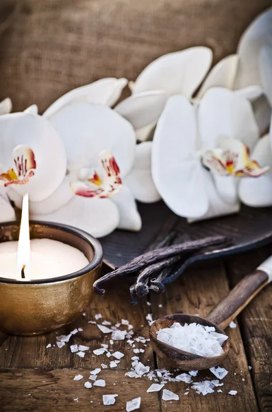 Vanilj bönor och salt cristal — Stockfoto