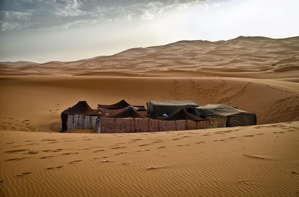 Tented tábora v poušti sahara — Stock fotografie