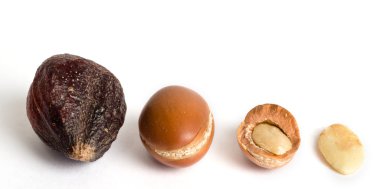 argan meyve
