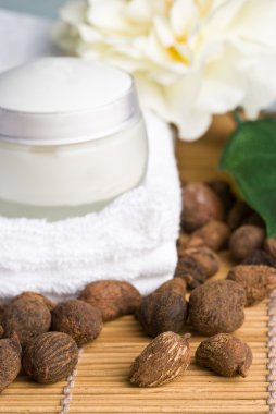 Shea fındık shea yağı kremi