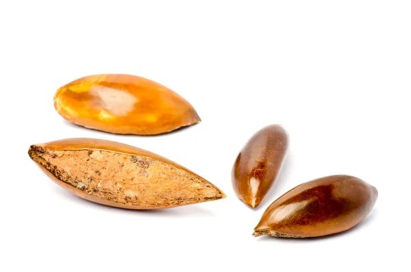 Sapote ou Mamey Seeds — Fotografia de Stock