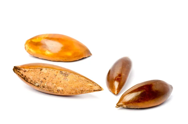 Sapote o Mamey Seeds — Foto Stock