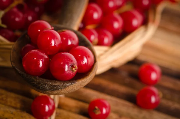 Grosella roja en una cuchara — Foto de Stock