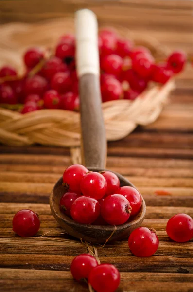 Grosella roja en una cuchara — Foto de Stock