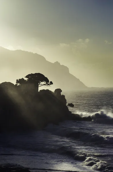 Blick auf die ligurische Küste, Italien — Stockfoto