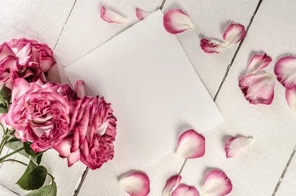 White paper with flowers and petals — Stock Photo, Image