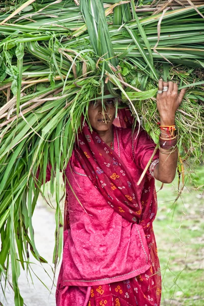 Женщина каринг большой тюк сена — стоковое фото