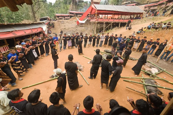 Funeral Procession Descrizione Tana Toraja — Stock Photo, Image