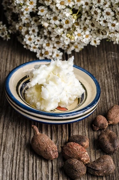 Shea butter and nuts — Stock Photo, Image