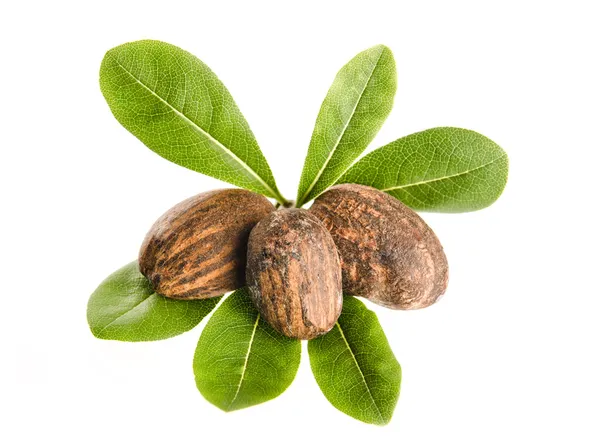 Shea nuts and leaves — Stock Photo, Image
