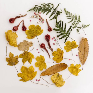 Sonbahar yaprakları bileşimi