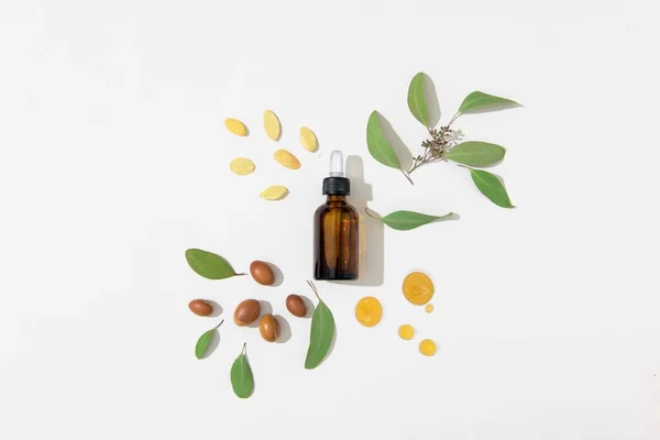 Kosmetische Glasflasche Mit Tropfer Auf Weißem Hintergrund Mit Arganfrüchten Eukalyptusblättern — Stockfoto