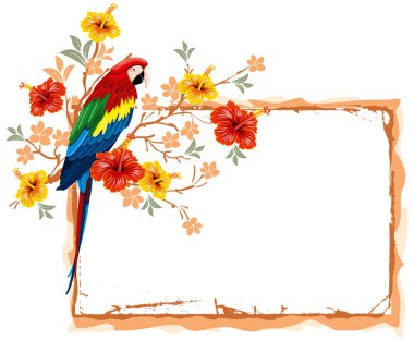 papağan ve tropik çiçekler