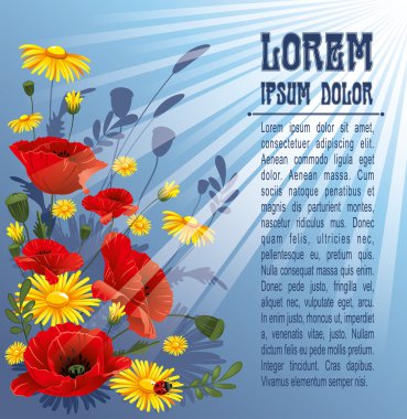 Gelincikler ve papatyalar