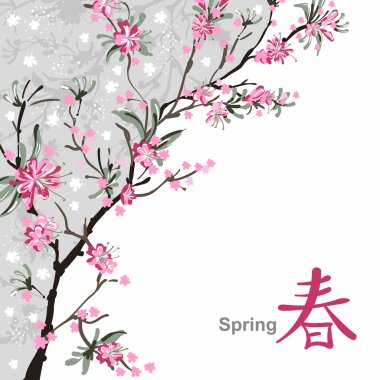 Sakura çiçeği