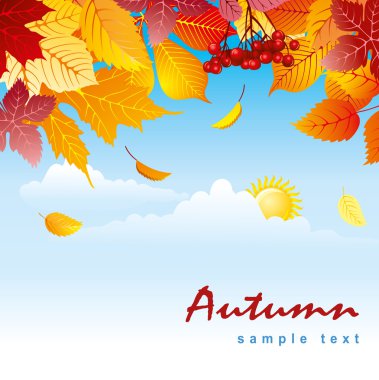 Sonbahar yapraklı arkaplan