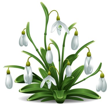 Free Free 201 Snowdrop Svg SVG PNG EPS DXF File