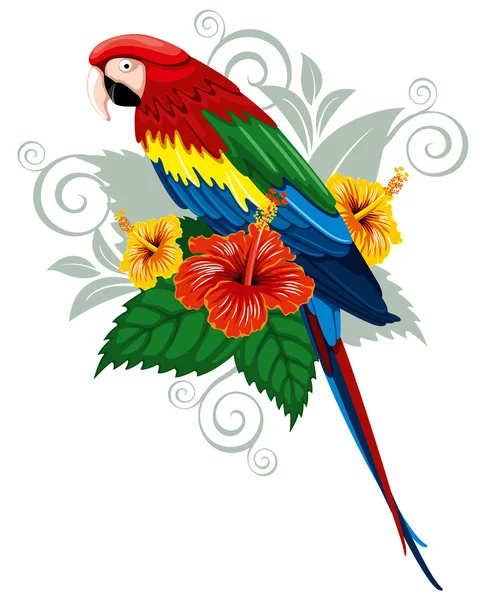 Parrot and tropical flowers — Stock Vector