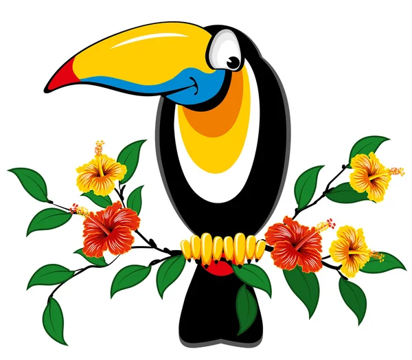 Toucan — Stock Vector