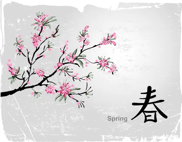 Sakura blossom — Stock Vector