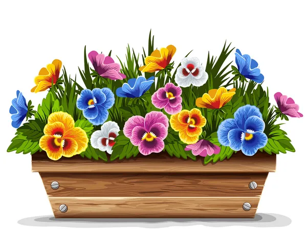 Dřevěný květináč s macešky — Stockový vektor
