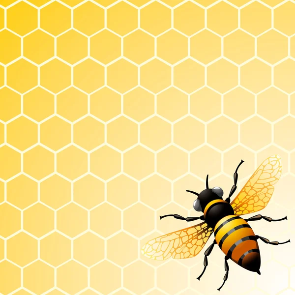 Abeille en nid d'abeille — Image vectorielle