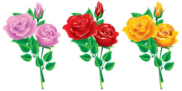 Ensemble de bouquets de roses — Image vectorielle