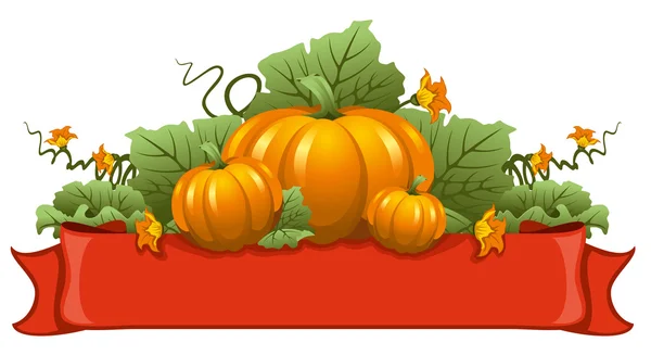 Calabaza — Vector de stock